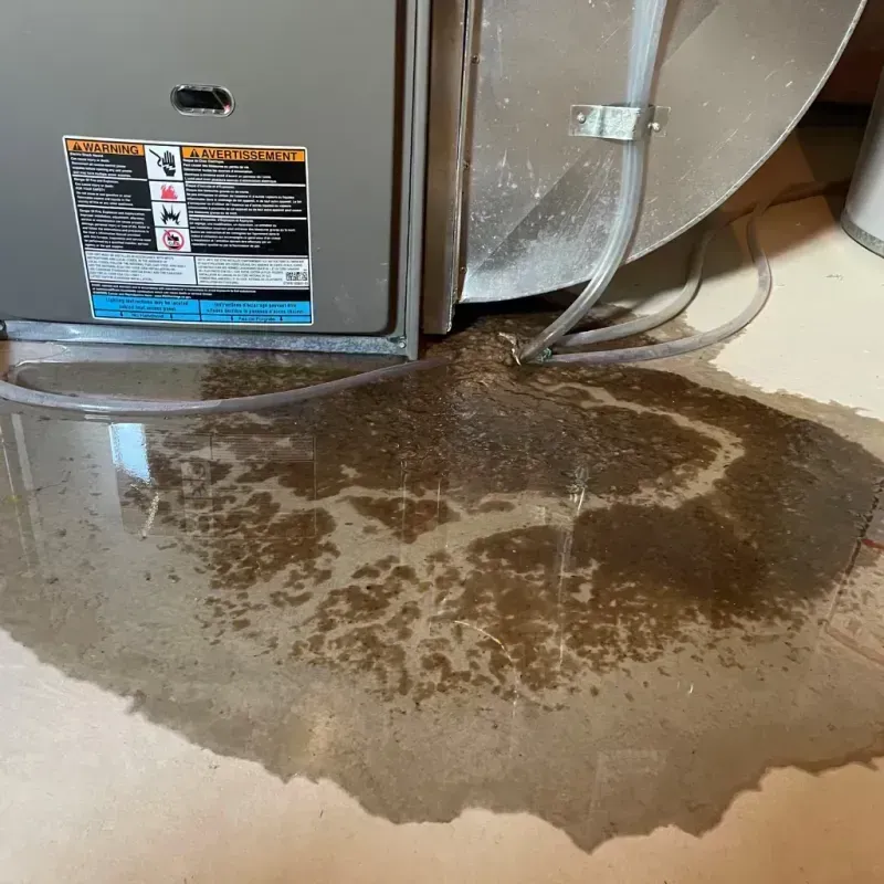 Appliance Leak Cleanup in Vinton, TX